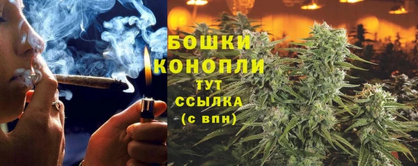 ALPHA PVP Медногорск