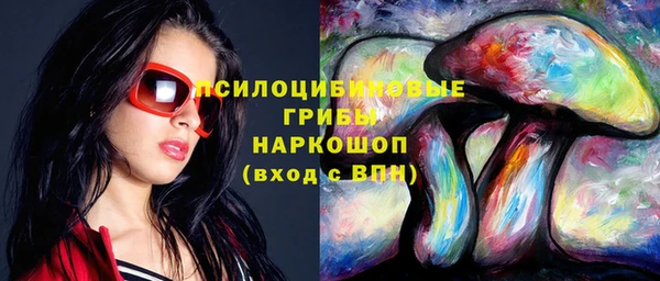 гашик Михайловка