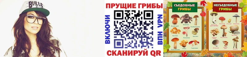 Галлюциногенные грибы GOLDEN TEACHER  купить наркотик  Абдулино 